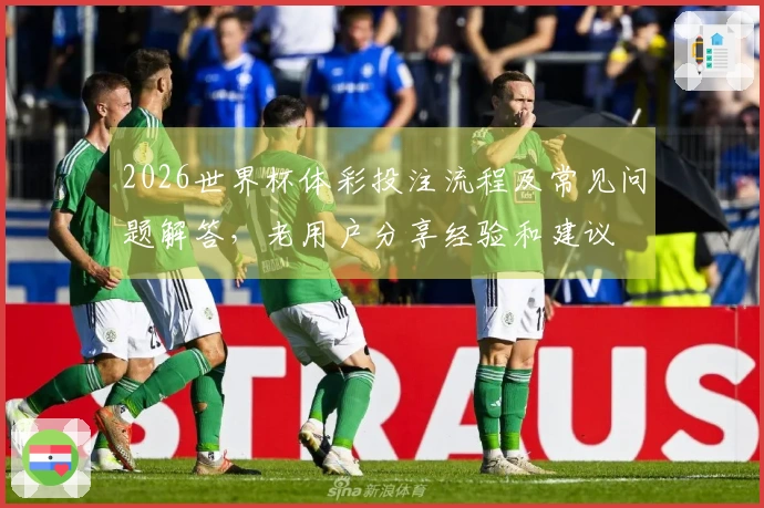 2026世界杯体彩投注流程及常见问题解答，老用户分享经验和建议