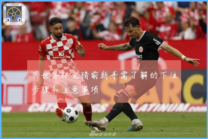 买世界杯竞猜前新手需了解的下注步骤和注意事项