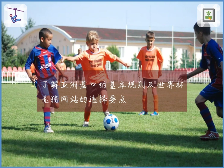 了解亚洲盘口的基本规则及世界杯竞猜网站的选择要点
