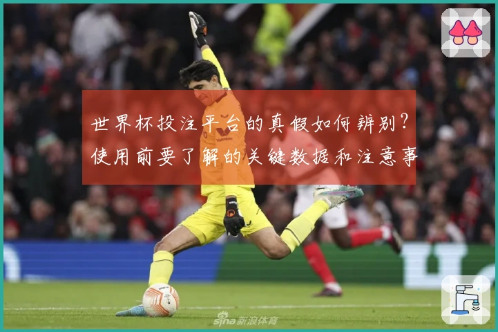 世界杯投注平台的真假如何辨别？使用前要了解的关键数据和注意事项