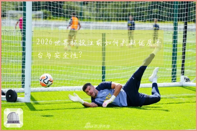 2026世界杯投注前如何判断优质平台与安全性？