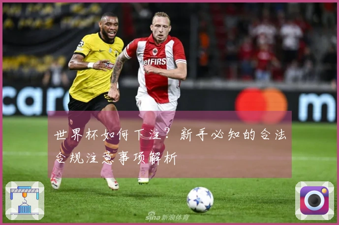 世界杯如何下注?新手必知的合法合规注意事项解析