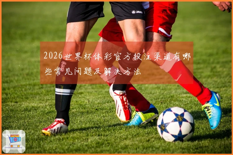 2026世界杯体彩官方投注渠道有哪些常见问题及解决方法