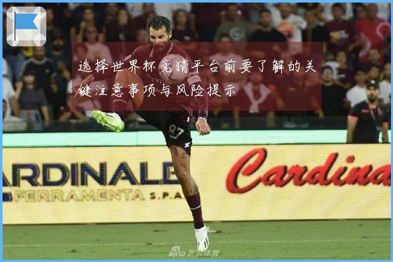 选择世界杯竞猜平台前要了解的关键注意事项与风险提示