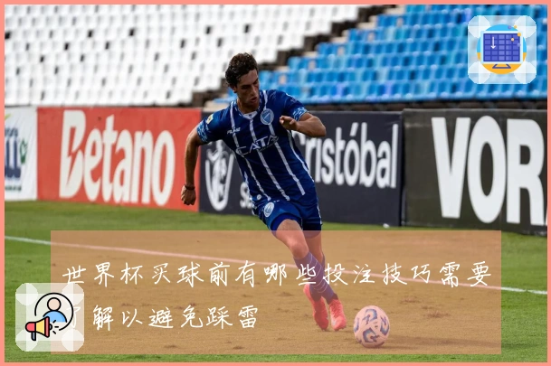 世界杯买球前有哪些投注技巧需要了解以避免踩雷