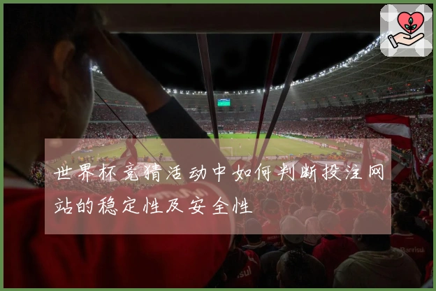 世界杯竞猜活动中如何判断投注网站的稳定性及安全性
