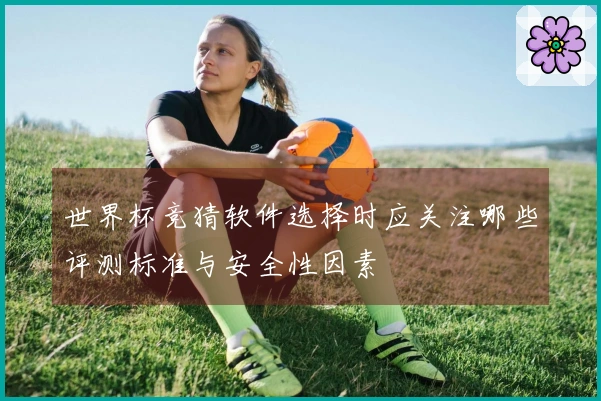 世界杯竞猜软件选择时应关注哪些评测标准与安全性因素