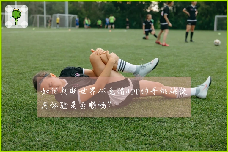 如何判断世界杯竞猜app的手机端使用体验是否顺畅？
