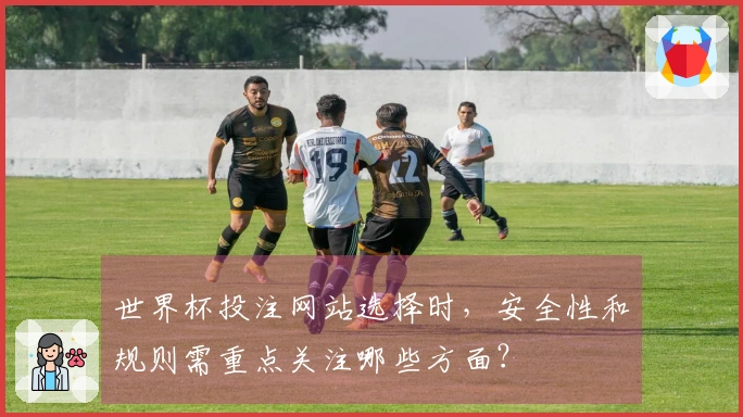 世界杯投注网站选择时，安全性和规则需重点关注哪些方面？