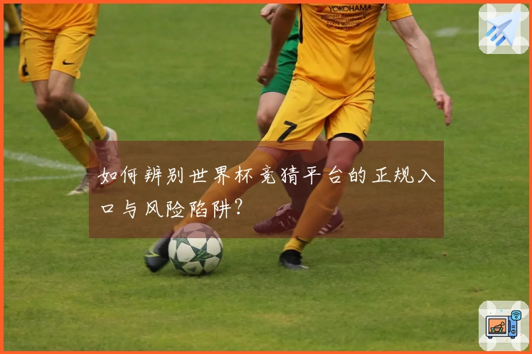 如何辨别世界杯竞猜平台的正规入口与风险陷阱？