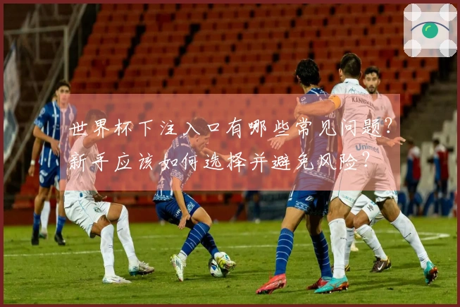 世界杯下注入口有哪些常见问题？新手应该如何选择并避免风险？