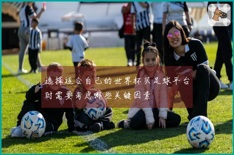 选择适合自己的世界杯买足球平台时需要考虑哪些关键因素