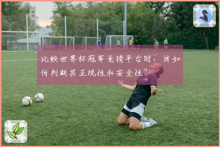 比较世界杯冠军竞猜平台时,该如何判断其正规性和安全性?