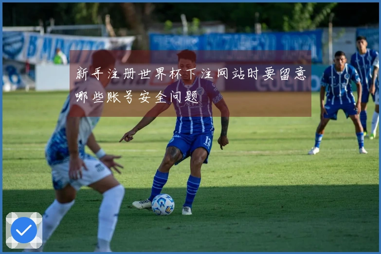 新手注册世界杯下注网站时要留意哪些账号安全问题