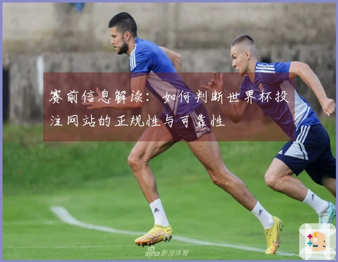 赛前信息解读：如何判断世界杯投注网站的正规性与可靠性