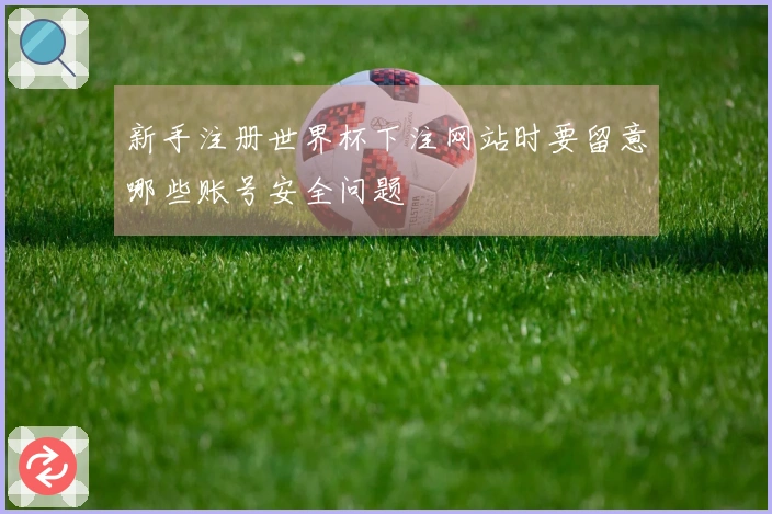 新手注册世界杯下注网站时要留意哪些账号安全问题