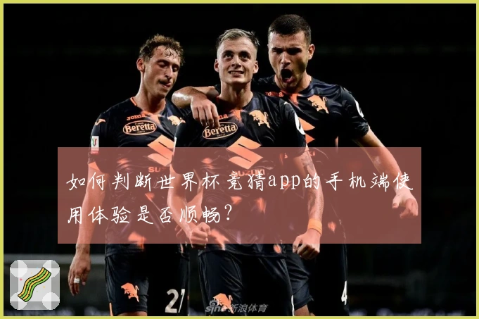 如何判断世界杯竞猜app的手机端使用体验是否顺畅?