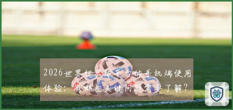 2026世界杯买球平台的手机端使用体验：有哪些关键问题需要了解？