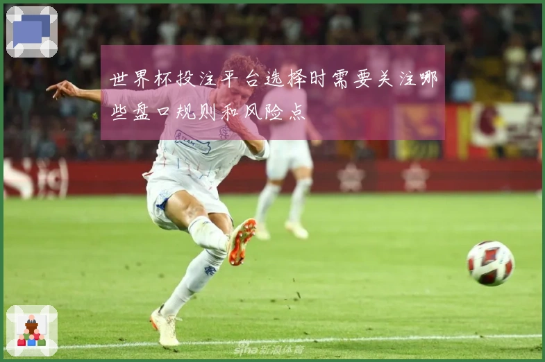 世界杯投注平台选择时需要关注哪些盘口规则和风险点