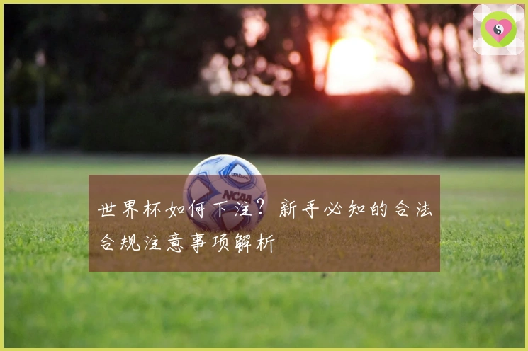 世界杯如何下注？新手必知的合法合规注意事项解析