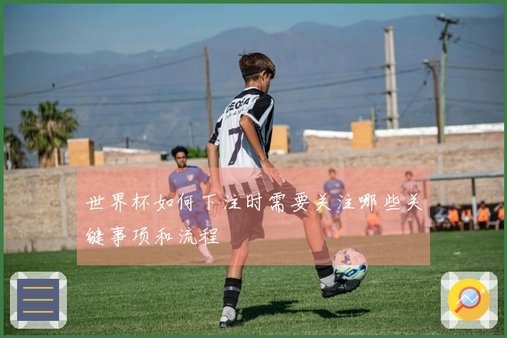 世界杯如何下注时需要关注哪些关键事项和流程