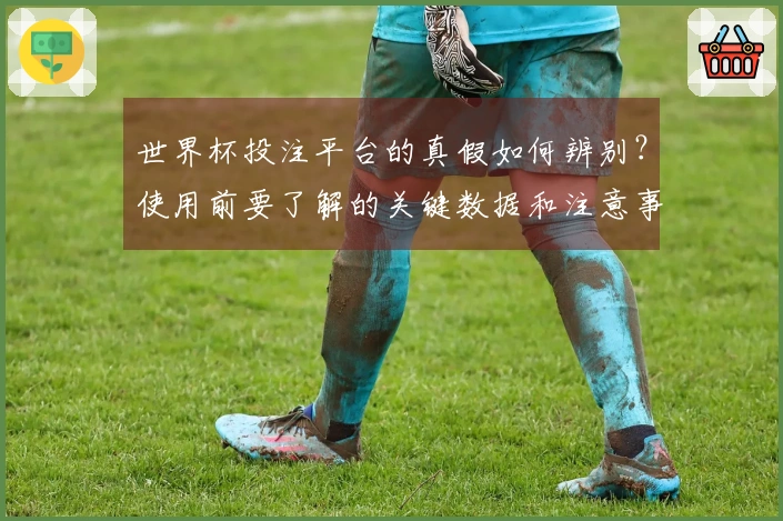 世界杯投注平台的真假如何辨别？使用前要了解的关键数据和注意事项