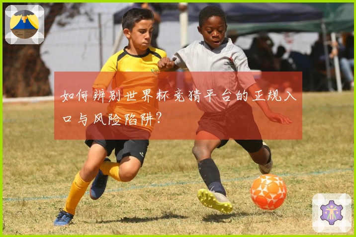 如何辨别世界杯竞猜平台的正规入口与风险陷阱？