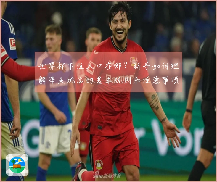 世界杯下注入口在哪?新手如何理解串关玩法的基本规则和注意事项