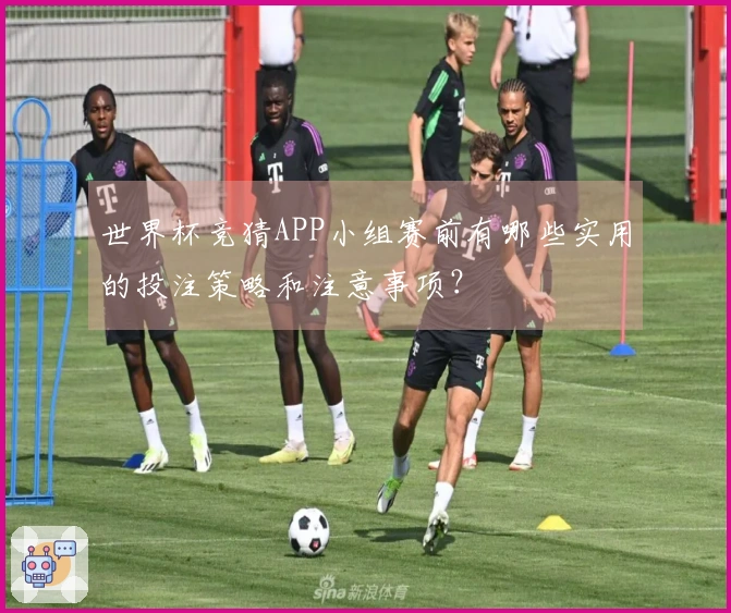 世界杯竞猜APP小组赛前有哪些实用的投注策略和注意事项？