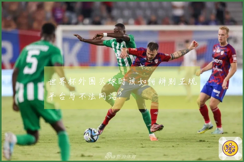 世界杯外围买球时该如何辨别正规平台与不法网站？