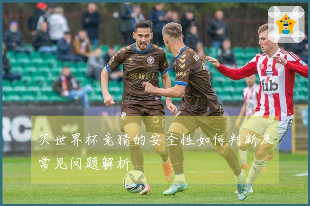买世界杯竞猜的安全性如何判断及常见问题解析